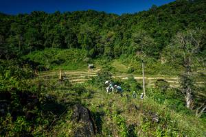 BIB: 
                            <button type="button" onclick="openModal(26576093)" class="btn btn-primary btn-sm float-right btn-popup" data-toggle="modal" data-target=".modal-high-quality">
                        <i class="fas fa-shopping-cart"></i> Add to Cart
                    </button>
                                            <button type="button" onclick="isThisMe(26576093, true)" class="btn btn-success btn-sm float-right btn-popup btn-isme hidden" data-toggle="tooltip" data-placement="bottom" title="นี่คือรูปของคุณใช่ไหม คลิกที่นี่เพื่อเอาเข้าอัลบั้ม">
                        <i class="fas fa-plus"></i> Add to album
                    </button>
                    <button type="button" onclick="isThisMe(26576093, false)" class="btn btn-warning btn-sm float-right btn-popup btn-isnotme hidden">
                        <i class="fas fa-ban"></i> Remove from album
                    </button>