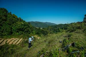 BIB: 
                            <button type="button" onclick="openModal(26689781)" class="btn btn-primary btn-sm float-right btn-popup" data-toggle="modal" data-target=".modal-high-quality">
                        <i class="fas fa-shopping-cart"></i> Add to Cart
                    </button>
                                            <button type="button" onclick="isThisMe(26689781, true)" class="btn btn-success btn-sm float-right btn-popup btn-isme hidden" data-toggle="tooltip" data-placement="bottom" title="นี่คือรูปของคุณใช่ไหม คลิกที่นี่เพื่อเอาเข้าอัลบั้ม">
                        <i class="fas fa-plus"></i> Add to album
                    </button>
                    <button type="button" onclick="isThisMe(26689781, false)" class="btn btn-warning btn-sm float-right btn-popup btn-isnotme hidden">
                        <i class="fas fa-ban"></i> Remove from album
                    </button>