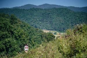 BIB: 
                            <button type="button" onclick="openModal(26677410)" class="btn btn-primary btn-sm float-right btn-popup" data-toggle="modal" data-target=".modal-high-quality">
                        <i class="fas fa-shopping-cart"></i> Add to Cart
                    </button>
                                            <button type="button" onclick="isThisMe(26677410, true)" class="btn btn-success btn-sm float-right btn-popup btn-isme hidden" data-toggle="tooltip" data-placement="bottom" title="นี่คือรูปของคุณใช่ไหม คลิกที่นี่เพื่อเอาเข้าอัลบั้ม">
                        <i class="fas fa-plus"></i> Add to album
                    </button>
                    <button type="button" onclick="isThisMe(26677410, false)" class="btn btn-warning btn-sm float-right btn-popup btn-isnotme hidden">
                        <i class="fas fa-ban"></i> Remove from album
                    </button>