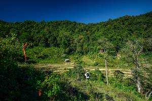 BIB: 
                            <button type="button" onclick="openModal(26575733)" class="btn btn-primary btn-sm float-right btn-popup" data-toggle="modal" data-target=".modal-high-quality">
                        <i class="fas fa-shopping-cart"></i> Add to Cart
                    </button>
                                            <button type="button" onclick="isThisMe(26575733, true)" class="btn btn-success btn-sm float-right btn-popup btn-isme hidden" data-toggle="tooltip" data-placement="bottom" title="นี่คือรูปของคุณใช่ไหม คลิกที่นี่เพื่อเอาเข้าอัลบั้ม">
                        <i class="fas fa-plus"></i> Add to album
                    </button>
                    <button type="button" onclick="isThisMe(26575733, false)" class="btn btn-warning btn-sm float-right btn-popup btn-isnotme hidden">
                        <i class="fas fa-ban"></i> Remove from album
                    </button>