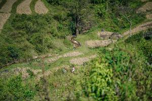 BIB: 
                            <button type="button" onclick="openModal(26676996)" class="btn btn-primary btn-sm float-right btn-popup" data-toggle="modal" data-target=".modal-high-quality">
                        <i class="fas fa-shopping-cart"></i> Add to Cart
                    </button>
                                            <button type="button" onclick="isThisMe(26676996, true)" class="btn btn-success btn-sm float-right btn-popup btn-isme hidden" data-toggle="tooltip" data-placement="bottom" title="นี่คือรูปของคุณใช่ไหม คลิกที่นี่เพื่อเอาเข้าอัลบั้ม">
                        <i class="fas fa-plus"></i> Add to album
                    </button>
                    <button type="button" onclick="isThisMe(26676996, false)" class="btn btn-warning btn-sm float-right btn-popup btn-isnotme hidden">
                        <i class="fas fa-ban"></i> Remove from album
                    </button>