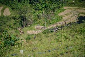 BIB: 
                            <button type="button" onclick="openModal(26676843)" class="btn btn-primary btn-sm float-right btn-popup" data-toggle="modal" data-target=".modal-high-quality">
                        <i class="fas fa-shopping-cart"></i> Add to Cart
                    </button>
                                            <button type="button" onclick="isThisMe(26676843, true)" class="btn btn-success btn-sm float-right btn-popup btn-isme hidden" data-toggle="tooltip" data-placement="bottom" title="นี่คือรูปของคุณใช่ไหม คลิกที่นี่เพื่อเอาเข้าอัลบั้ม">
                        <i class="fas fa-plus"></i> Add to album
                    </button>
                    <button type="button" onclick="isThisMe(26676843, false)" class="btn btn-warning btn-sm float-right btn-popup btn-isnotme hidden">
                        <i class="fas fa-ban"></i> Remove from album
                    </button>