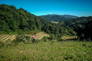 BIB: 
                            <button type="button" onclick="openModal(26584870)" class="btn btn-primary btn-sm float-right btn-popup" data-toggle="modal" data-target=".modal-high-quality">
                        <i class="fas fa-shopping-cart"></i> Add to Cart
                    </button>
                                            <button type="button" onclick="isThisMe(26584870, true)" class="btn btn-success btn-sm float-right btn-popup btn-isme hidden" data-toggle="tooltip" data-placement="bottom" title="นี่คือรูปของคุณใช่ไหม คลิกที่นี่เพื่อเอาเข้าอัลบั้ม">
                        <i class="fas fa-plus"></i> Add to album
                    </button>
                    <button type="button" onclick="isThisMe(26584870, false)" class="btn btn-warning btn-sm float-right btn-popup btn-isnotme hidden">
                        <i class="fas fa-ban"></i> Remove from album
                    </button>