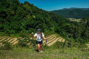 BIB: 
                            <button type="button" onclick="openModal(26683326)" class="btn btn-primary btn-sm float-right btn-popup" data-toggle="modal" data-target=".modal-high-quality">
                        <i class="fas fa-shopping-cart"></i> Add to Cart
                    </button>
                                            <button type="button" onclick="isThisMe(26683326, true)" class="btn btn-success btn-sm float-right btn-popup btn-isme hidden" data-toggle="tooltip" data-placement="bottom" title="นี่คือรูปของคุณใช่ไหม คลิกที่นี่เพื่อเอาเข้าอัลบั้ม">
                        <i class="fas fa-plus"></i> Add to album
                    </button>
                    <button type="button" onclick="isThisMe(26683326, false)" class="btn btn-warning btn-sm float-right btn-popup btn-isnotme hidden">
                        <i class="fas fa-ban"></i> Remove from album
                    </button>