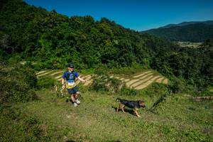 BIB: 
                            <button type="button" onclick="openModal(26656922)" class="btn btn-primary btn-sm float-right btn-popup" data-toggle="modal" data-target=".modal-high-quality">
                        <i class="fas fa-shopping-cart"></i> Add to Cart
                    </button>
                                            <button type="button" onclick="isThisMe(26656922, true)" class="btn btn-success btn-sm float-right btn-popup btn-isme hidden" data-toggle="tooltip" data-placement="bottom" title="นี่คือรูปของคุณใช่ไหม คลิกที่นี่เพื่อเอาเข้าอัลบั้ม">
                        <i class="fas fa-plus"></i> Add to album
                    </button>
                    <button type="button" onclick="isThisMe(26656922, false)" class="btn btn-warning btn-sm float-right btn-popup btn-isnotme hidden">
                        <i class="fas fa-ban"></i> Remove from album
                    </button>