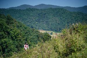 BIB: 
                            <button type="button" onclick="openModal(26677469)" class="btn btn-primary btn-sm float-right btn-popup" data-toggle="modal" data-target=".modal-high-quality">
                        <i class="fas fa-shopping-cart"></i> Add to Cart
                    </button>
                                            <button type="button" onclick="isThisMe(26677469, true)" class="btn btn-success btn-sm float-right btn-popup btn-isme hidden" data-toggle="tooltip" data-placement="bottom" title="นี่คือรูปของคุณใช่ไหม คลิกที่นี่เพื่อเอาเข้าอัลบั้ม">
                        <i class="fas fa-plus"></i> Add to album
                    </button>
                    <button type="button" onclick="isThisMe(26677469, false)" class="btn btn-warning btn-sm float-right btn-popup btn-isnotme hidden">
                        <i class="fas fa-ban"></i> Remove from album
                    </button>