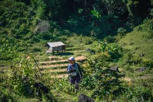 BIB: 
                            <button type="button" onclick="openModal(26676419)" class="btn btn-primary btn-sm float-right btn-popup" data-toggle="modal" data-target=".modal-high-quality">
                        <i class="fas fa-shopping-cart"></i> Add to Cart
                    </button>
                                            <button type="button" onclick="isThisMe(26676419, true)" class="btn btn-success btn-sm float-right btn-popup btn-isme hidden" data-toggle="tooltip" data-placement="bottom" title="นี่คือรูปของคุณใช่ไหม คลิกที่นี่เพื่อเอาเข้าอัลบั้ม">
                        <i class="fas fa-plus"></i> Add to album
                    </button>
                    <button type="button" onclick="isThisMe(26676419, false)" class="btn btn-warning btn-sm float-right btn-popup btn-isnotme hidden">
                        <i class="fas fa-ban"></i> Remove from album
                    </button>