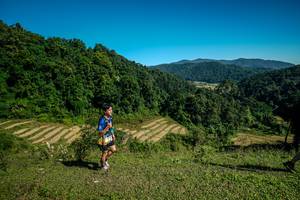 BIB: 
                            <button type="button" onclick="openModal(26586037)" class="btn btn-primary btn-sm float-right btn-popup" data-toggle="modal" data-target=".modal-high-quality">
                        <i class="fas fa-shopping-cart"></i> Add to Cart
                    </button>
                                            <button type="button" onclick="isThisMe(26586037, true)" class="btn btn-success btn-sm float-right btn-popup btn-isme hidden" data-toggle="tooltip" data-placement="bottom" title="นี่คือรูปของคุณใช่ไหม คลิกที่นี่เพื่อเอาเข้าอัลบั้ม">
                        <i class="fas fa-plus"></i> Add to album
                    </button>
                    <button type="button" onclick="isThisMe(26586037, false)" class="btn btn-warning btn-sm float-right btn-popup btn-isnotme hidden">
                        <i class="fas fa-ban"></i> Remove from album
                    </button>