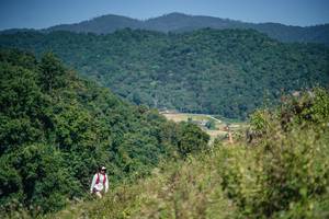 BIB: 
                            <button type="button" onclick="openModal(26677409)" class="btn btn-primary btn-sm float-right btn-popup" data-toggle="modal" data-target=".modal-high-quality">
                        <i class="fas fa-shopping-cart"></i> Add to Cart
                    </button>
                                            <button type="button" onclick="isThisMe(26677409, true)" class="btn btn-success btn-sm float-right btn-popup btn-isme hidden" data-toggle="tooltip" data-placement="bottom" title="นี่คือรูปของคุณใช่ไหม คลิกที่นี่เพื่อเอาเข้าอัลบั้ม">
                        <i class="fas fa-plus"></i> Add to album
                    </button>
                    <button type="button" onclick="isThisMe(26677409, false)" class="btn btn-warning btn-sm float-right btn-popup btn-isnotme hidden">
                        <i class="fas fa-ban"></i> Remove from album
                    </button>