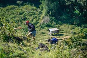 BIB: 
                            <button type="button" onclick="openModal(26677199)" class="btn btn-primary btn-sm float-right btn-popup" data-toggle="modal" data-target=".modal-high-quality">
                        <i class="fas fa-shopping-cart"></i> Add to Cart
                    </button>
                                            <button type="button" onclick="isThisMe(26677199, true)" class="btn btn-success btn-sm float-right btn-popup btn-isme hidden" data-toggle="tooltip" data-placement="bottom" title="นี่คือรูปของคุณใช่ไหม คลิกที่นี่เพื่อเอาเข้าอัลบั้ม">
                        <i class="fas fa-plus"></i> Add to album
                    </button>
                    <button type="button" onclick="isThisMe(26677199, false)" class="btn btn-warning btn-sm float-right btn-popup btn-isnotme hidden">
                        <i class="fas fa-ban"></i> Remove from album
                    </button>