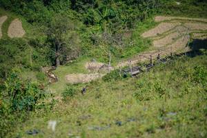 BIB: 
                            <button type="button" onclick="openModal(26676869)" class="btn btn-primary btn-sm float-right btn-popup" data-toggle="modal" data-target=".modal-high-quality">
                        <i class="fas fa-shopping-cart"></i> Add to Cart
                    </button>
                                            <button type="button" onclick="isThisMe(26676869, true)" class="btn btn-success btn-sm float-right btn-popup btn-isme hidden" data-toggle="tooltip" data-placement="bottom" title="นี่คือรูปของคุณใช่ไหม คลิกที่นี่เพื่อเอาเข้าอัลบั้ม">
                        <i class="fas fa-plus"></i> Add to album
                    </button>
                    <button type="button" onclick="isThisMe(26676869, false)" class="btn btn-warning btn-sm float-right btn-popup btn-isnotme hidden">
                        <i class="fas fa-ban"></i> Remove from album
                    </button>