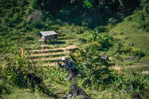 BIB: 
                            <button type="button" onclick="openModal(26676360)" class="btn btn-primary btn-sm float-right btn-popup" data-toggle="modal" data-target=".modal-high-quality">
                        <i class="fas fa-shopping-cart"></i> Add to Cart
                    </button>
                                            <button type="button" onclick="isThisMe(26676360, true)" class="btn btn-success btn-sm float-right btn-popup btn-isme hidden" data-toggle="tooltip" data-placement="bottom" title="นี่คือรูปของคุณใช่ไหม คลิกที่นี่เพื่อเอาเข้าอัลบั้ม">
                        <i class="fas fa-plus"></i> Add to album
                    </button>
                    <button type="button" onclick="isThisMe(26676360, false)" class="btn btn-warning btn-sm float-right btn-popup btn-isnotme hidden">
                        <i class="fas fa-ban"></i> Remove from album
                    </button>