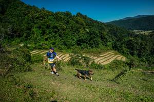 BIB: 
                            <button type="button" onclick="openModal(26656790)" class="btn btn-primary btn-sm float-right btn-popup" data-toggle="modal" data-target=".modal-high-quality">
                        <i class="fas fa-shopping-cart"></i> Add to Cart
                    </button>
                                            <button type="button" onclick="isThisMe(26656790, true)" class="btn btn-success btn-sm float-right btn-popup btn-isme hidden" data-toggle="tooltip" data-placement="bottom" title="นี่คือรูปของคุณใช่ไหม คลิกที่นี่เพื่อเอาเข้าอัลบั้ม">
                        <i class="fas fa-plus"></i> Add to album
                    </button>
                    <button type="button" onclick="isThisMe(26656790, false)" class="btn btn-warning btn-sm float-right btn-popup btn-isnotme hidden">
                        <i class="fas fa-ban"></i> Remove from album
                    </button>