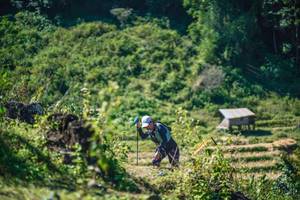 BIB: 
                            <button type="button" onclick="openModal(26676454)" class="btn btn-primary btn-sm float-right btn-popup" data-toggle="modal" data-target=".modal-high-quality">
                        <i class="fas fa-shopping-cart"></i> Add to Cart
                    </button>
                                            <button type="button" onclick="isThisMe(26676454, true)" class="btn btn-success btn-sm float-right btn-popup btn-isme hidden" data-toggle="tooltip" data-placement="bottom" title="นี่คือรูปของคุณใช่ไหม คลิกที่นี่เพื่อเอาเข้าอัลบั้ม">
                        <i class="fas fa-plus"></i> Add to album
                    </button>
                    <button type="button" onclick="isThisMe(26676454, false)" class="btn btn-warning btn-sm float-right btn-popup btn-isnotme hidden">
                        <i class="fas fa-ban"></i> Remove from album
                    </button>