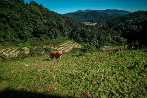 BIB: 
                            <button type="button" onclick="openModal(26591214)" class="btn btn-primary btn-sm float-right btn-popup" data-toggle="modal" data-target=".modal-high-quality">
                        <i class="fas fa-shopping-cart"></i> Add to Cart
                    </button>
                                            <button type="button" onclick="isThisMe(26591214, true)" class="btn btn-success btn-sm float-right btn-popup btn-isme hidden" data-toggle="tooltip" data-placement="bottom" title="นี่คือรูปของคุณใช่ไหม คลิกที่นี่เพื่อเอาเข้าอัลบั้ม">
                        <i class="fas fa-plus"></i> Add to album
                    </button>
                    <button type="button" onclick="isThisMe(26591214, false)" class="btn btn-warning btn-sm float-right btn-popup btn-isnotme hidden">
                        <i class="fas fa-ban"></i> Remove from album
                    </button>