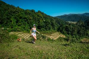 BIB: 
                            <button type="button" onclick="openModal(26590686)" class="btn btn-primary btn-sm float-right btn-popup" data-toggle="modal" data-target=".modal-high-quality">
                        <i class="fas fa-shopping-cart"></i> Add to Cart
                    </button>
                                            <button type="button" onclick="isThisMe(26590686, true)" class="btn btn-success btn-sm float-right btn-popup btn-isme hidden" data-toggle="tooltip" data-placement="bottom" title="นี่คือรูปของคุณใช่ไหม คลิกที่นี่เพื่อเอาเข้าอัลบั้ม">
                        <i class="fas fa-plus"></i> Add to album
                    </button>
                    <button type="button" onclick="isThisMe(26590686, false)" class="btn btn-warning btn-sm float-right btn-popup btn-isnotme hidden">
                        <i class="fas fa-ban"></i> Remove from album
                    </button>