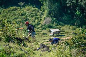 BIB: 
                            <button type="button" onclick="openModal(26677266)" class="btn btn-primary btn-sm float-right btn-popup" data-toggle="modal" data-target=".modal-high-quality">
                        <i class="fas fa-shopping-cart"></i> Add to Cart
                    </button>
                                            <button type="button" onclick="isThisMe(26677266, true)" class="btn btn-success btn-sm float-right btn-popup btn-isme hidden" data-toggle="tooltip" data-placement="bottom" title="นี่คือรูปของคุณใช่ไหม คลิกที่นี่เพื่อเอาเข้าอัลบั้ม">
                        <i class="fas fa-plus"></i> Add to album
                    </button>
                    <button type="button" onclick="isThisMe(26677266, false)" class="btn btn-warning btn-sm float-right btn-popup btn-isnotme hidden">
                        <i class="fas fa-ban"></i> Remove from album
                    </button>