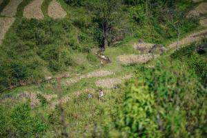 BIB: 
                            <button type="button" onclick="openModal(26676982)" class="btn btn-primary btn-sm float-right btn-popup" data-toggle="modal" data-target=".modal-high-quality">
                        <i class="fas fa-shopping-cart"></i> Add to Cart
                    </button>
                                            <button type="button" onclick="isThisMe(26676982, true)" class="btn btn-success btn-sm float-right btn-popup btn-isme hidden" data-toggle="tooltip" data-placement="bottom" title="นี่คือรูปของคุณใช่ไหม คลิกที่นี่เพื่อเอาเข้าอัลบั้ม">
                        <i class="fas fa-plus"></i> Add to album
                    </button>
                    <button type="button" onclick="isThisMe(26676982, false)" class="btn btn-warning btn-sm float-right btn-popup btn-isnotme hidden">
                        <i class="fas fa-ban"></i> Remove from album
                    </button>