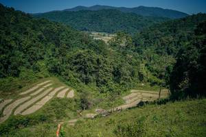 BIB: 
                            <button type="button" onclick="openModal(26675386)" class="btn btn-primary btn-sm float-right btn-popup" data-toggle="modal" data-target=".modal-high-quality">
                        <i class="fas fa-shopping-cart"></i> Add to Cart
                    </button>
                                            <button type="button" onclick="isThisMe(26675386, true)" class="btn btn-success btn-sm float-right btn-popup btn-isme hidden" data-toggle="tooltip" data-placement="bottom" title="นี่คือรูปของคุณใช่ไหม คลิกที่นี่เพื่อเอาเข้าอัลบั้ม">
                        <i class="fas fa-plus"></i> Add to album
                    </button>
                    <button type="button" onclick="isThisMe(26675386, false)" class="btn btn-warning btn-sm float-right btn-popup btn-isnotme hidden">
                        <i class="fas fa-ban"></i> Remove from album
                    </button>