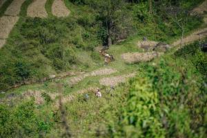 BIB: 
                            <button type="button" onclick="openModal(26677011)" class="btn btn-primary btn-sm float-right btn-popup" data-toggle="modal" data-target=".modal-high-quality">
                        <i class="fas fa-shopping-cart"></i> Add to Cart
                    </button>
                                            <button type="button" onclick="isThisMe(26677011, true)" class="btn btn-success btn-sm float-right btn-popup btn-isme hidden" data-toggle="tooltip" data-placement="bottom" title="นี่คือรูปของคุณใช่ไหม คลิกที่นี่เพื่อเอาเข้าอัลบั้ม">
                        <i class="fas fa-plus"></i> Add to album
                    </button>
                    <button type="button" onclick="isThisMe(26677011, false)" class="btn btn-warning btn-sm float-right btn-popup btn-isnotme hidden">
                        <i class="fas fa-ban"></i> Remove from album
                    </button>