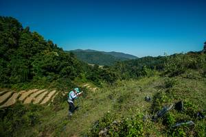 BIB: 
                            <button type="button" onclick="openModal(26689765)" class="btn btn-primary btn-sm float-right btn-popup" data-toggle="modal" data-target=".modal-high-quality">
                        <i class="fas fa-shopping-cart"></i> Add to Cart
                    </button>
                                            <button type="button" onclick="isThisMe(26689765, true)" class="btn btn-success btn-sm float-right btn-popup btn-isme hidden" data-toggle="tooltip" data-placement="bottom" title="นี่คือรูปของคุณใช่ไหม คลิกที่นี่เพื่อเอาเข้าอัลบั้ม">
                        <i class="fas fa-plus"></i> Add to album
                    </button>
                    <button type="button" onclick="isThisMe(26689765, false)" class="btn btn-warning btn-sm float-right btn-popup btn-isnotme hidden">
                        <i class="fas fa-ban"></i> Remove from album
                    </button>