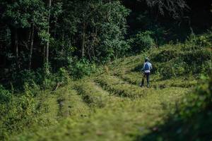 BIB: 
                            <button type="button" onclick="openModal(26678418)" class="btn btn-primary btn-sm float-right btn-popup" data-toggle="modal" data-target=".modal-high-quality">
                        <i class="fas fa-shopping-cart"></i> Add to Cart
                    </button>
                                            <button type="button" onclick="isThisMe(26678418, true)" class="btn btn-success btn-sm float-right btn-popup btn-isme hidden" data-toggle="tooltip" data-placement="bottom" title="นี่คือรูปของคุณใช่ไหม คลิกที่นี่เพื่อเอาเข้าอัลบั้ม">
                        <i class="fas fa-plus"></i> Add to album
                    </button>
                    <button type="button" onclick="isThisMe(26678418, false)" class="btn btn-warning btn-sm float-right btn-popup btn-isnotme hidden">
                        <i class="fas fa-ban"></i> Remove from album
                    </button>