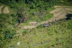 BIB: 
                            <button type="button" onclick="openModal(26676825)" class="btn btn-primary btn-sm float-right btn-popup" data-toggle="modal" data-target=".modal-high-quality">
                        <i class="fas fa-shopping-cart"></i> Add to Cart
                    </button>
                                            <button type="button" onclick="isThisMe(26676825, true)" class="btn btn-success btn-sm float-right btn-popup btn-isme hidden" data-toggle="tooltip" data-placement="bottom" title="นี่คือรูปของคุณใช่ไหม คลิกที่นี่เพื่อเอาเข้าอัลบั้ม">
                        <i class="fas fa-plus"></i> Add to album
                    </button>
                    <button type="button" onclick="isThisMe(26676825, false)" class="btn btn-warning btn-sm float-right btn-popup btn-isnotme hidden">
                        <i class="fas fa-ban"></i> Remove from album
                    </button>