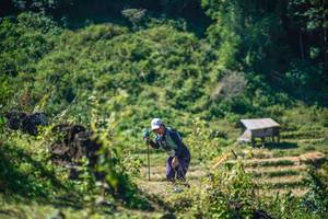 BIB: 
                            <button type="button" onclick="openModal(26676499)" class="btn btn-primary btn-sm float-right btn-popup" data-toggle="modal" data-target=".modal-high-quality">
                        <i class="fas fa-shopping-cart"></i> Add to Cart
                    </button>
                                            <button type="button" onclick="isThisMe(26676499, true)" class="btn btn-success btn-sm float-right btn-popup btn-isme hidden" data-toggle="tooltip" data-placement="bottom" title="นี่คือรูปของคุณใช่ไหม คลิกที่นี่เพื่อเอาเข้าอัลบั้ม">
                        <i class="fas fa-plus"></i> Add to album
                    </button>
                    <button type="button" onclick="isThisMe(26676499, false)" class="btn btn-warning btn-sm float-right btn-popup btn-isnotme hidden">
                        <i class="fas fa-ban"></i> Remove from album
                    </button>