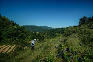 BIB: 
                            <button type="button" onclick="openModal(26689787)" class="btn btn-primary btn-sm float-right btn-popup" data-toggle="modal" data-target=".modal-high-quality">
                        <i class="fas fa-shopping-cart"></i> Add to Cart
                    </button>
                                            <button type="button" onclick="isThisMe(26689787, true)" class="btn btn-success btn-sm float-right btn-popup btn-isme hidden" data-toggle="tooltip" data-placement="bottom" title="นี่คือรูปของคุณใช่ไหม คลิกที่นี่เพื่อเอาเข้าอัลบั้ม">
                        <i class="fas fa-plus"></i> Add to album
                    </button>
                    <button type="button" onclick="isThisMe(26689787, false)" class="btn btn-warning btn-sm float-right btn-popup btn-isnotme hidden">
                        <i class="fas fa-ban"></i> Remove from album
                    </button>