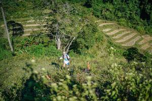 BIB: 
                            <button type="button" onclick="openModal(26675135)" class="btn btn-primary btn-sm float-right btn-popup" data-toggle="modal" data-target=".modal-high-quality">
                        <i class="fas fa-shopping-cart"></i> Add to Cart
                    </button>
                                            <button type="button" onclick="isThisMe(26675135, true)" class="btn btn-success btn-sm float-right btn-popup btn-isme hidden" data-toggle="tooltip" data-placement="bottom" title="นี่คือรูปของคุณใช่ไหม คลิกที่นี่เพื่อเอาเข้าอัลบั้ม">
                        <i class="fas fa-plus"></i> Add to album
                    </button>
                    <button type="button" onclick="isThisMe(26675135, false)" class="btn btn-warning btn-sm float-right btn-popup btn-isnotme hidden">
                        <i class="fas fa-ban"></i> Remove from album
                    </button>