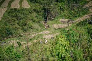 BIB: 
                            <button type="button" onclick="openModal(26676987)" class="btn btn-primary btn-sm float-right btn-popup" data-toggle="modal" data-target=".modal-high-quality">
                        <i class="fas fa-shopping-cart"></i> Add to Cart
                    </button>
                                            <button type="button" onclick="isThisMe(26676987, true)" class="btn btn-success btn-sm float-right btn-popup btn-isme hidden" data-toggle="tooltip" data-placement="bottom" title="นี่คือรูปของคุณใช่ไหม คลิกที่นี่เพื่อเอาเข้าอัลบั้ม">
                        <i class="fas fa-plus"></i> Add to album
                    </button>
                    <button type="button" onclick="isThisMe(26676987, false)" class="btn btn-warning btn-sm float-right btn-popup btn-isnotme hidden">
                        <i class="fas fa-ban"></i> Remove from album
                    </button>