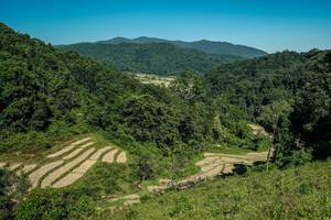 BIB: 
                            <button type="button" onclick="openModal(26689655)" class="btn btn-primary btn-sm float-right btn-popup" data-toggle="modal" data-target=".modal-high-quality">
                        <i class="fas fa-shopping-cart"></i> Add to Cart
                    </button>
                                            <button type="button" onclick="isThisMe(26689655, true)" class="btn btn-success btn-sm float-right btn-popup btn-isme hidden" data-toggle="tooltip" data-placement="bottom" title="นี่คือรูปของคุณใช่ไหม คลิกที่นี่เพื่อเอาเข้าอัลบั้ม">
                        <i class="fas fa-plus"></i> Add to album
                    </button>
                    <button type="button" onclick="isThisMe(26689655, false)" class="btn btn-warning btn-sm float-right btn-popup btn-isnotme hidden">
                        <i class="fas fa-ban"></i> Remove from album
                    </button>