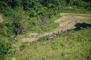 BIB: 
                            <button type="button" onclick="openModal(26676745)" class="btn btn-primary btn-sm float-right btn-popup" data-toggle="modal" data-target=".modal-high-quality">
                        <i class="fas fa-shopping-cart"></i> Add to Cart
                    </button>
                                            <button type="button" onclick="isThisMe(26676745, true)" class="btn btn-success btn-sm float-right btn-popup btn-isme hidden" data-toggle="tooltip" data-placement="bottom" title="นี่คือรูปของคุณใช่ไหม คลิกที่นี่เพื่อเอาเข้าอัลบั้ม">
                        <i class="fas fa-plus"></i> Add to album
                    </button>
                    <button type="button" onclick="isThisMe(26676745, false)" class="btn btn-warning btn-sm float-right btn-popup btn-isnotme hidden">
                        <i class="fas fa-ban"></i> Remove from album
                    </button>