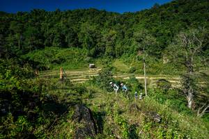 BIB: 
                            <button type="button" onclick="openModal(26576071)" class="btn btn-primary btn-sm float-right btn-popup" data-toggle="modal" data-target=".modal-high-quality">
                        <i class="fas fa-shopping-cart"></i> Add to Cart
                    </button>
                                            <button type="button" onclick="isThisMe(26576071, true)" class="btn btn-success btn-sm float-right btn-popup btn-isme hidden" data-toggle="tooltip" data-placement="bottom" title="นี่คือรูปของคุณใช่ไหม คลิกที่นี่เพื่อเอาเข้าอัลบั้ม">
                        <i class="fas fa-plus"></i> Add to album
                    </button>
                    <button type="button" onclick="isThisMe(26576071, false)" class="btn btn-warning btn-sm float-right btn-popup btn-isnotme hidden">
                        <i class="fas fa-ban"></i> Remove from album
                    </button>