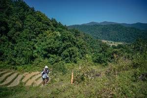 BIB: 
                            <button type="button" onclick="openModal(26675676)" class="btn btn-primary btn-sm float-right btn-popup" data-toggle="modal" data-target=".modal-high-quality">
                        <i class="fas fa-shopping-cart"></i> Add to Cart
                    </button>
                                            <button type="button" onclick="isThisMe(26675676, true)" class="btn btn-success btn-sm float-right btn-popup btn-isme hidden" data-toggle="tooltip" data-placement="bottom" title="นี่คือรูปของคุณใช่ไหม คลิกที่นี่เพื่อเอาเข้าอัลบั้ม">
                        <i class="fas fa-plus"></i> Add to album
                    </button>
                    <button type="button" onclick="isThisMe(26675676, false)" class="btn btn-warning btn-sm float-right btn-popup btn-isnotme hidden">
                        <i class="fas fa-ban"></i> Remove from album
                    </button>