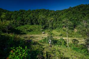 BIB: 
                            <button type="button" onclick="openModal(26575782)" class="btn btn-primary btn-sm float-right btn-popup" data-toggle="modal" data-target=".modal-high-quality">
                        <i class="fas fa-shopping-cart"></i> Add to Cart
                    </button>
                                            <button type="button" onclick="isThisMe(26575782, true)" class="btn btn-success btn-sm float-right btn-popup btn-isme hidden" data-toggle="tooltip" data-placement="bottom" title="นี่คือรูปของคุณใช่ไหม คลิกที่นี่เพื่อเอาเข้าอัลบั้ม">
                        <i class="fas fa-plus"></i> Add to album
                    </button>
                    <button type="button" onclick="isThisMe(26575782, false)" class="btn btn-warning btn-sm float-right btn-popup btn-isnotme hidden">
                        <i class="fas fa-ban"></i> Remove from album
                    </button>