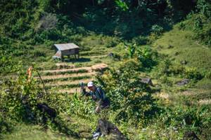 BIB: 
                            <button type="button" onclick="openModal(26676300)" class="btn btn-primary btn-sm float-right btn-popup" data-toggle="modal" data-target=".modal-high-quality">
                        <i class="fas fa-shopping-cart"></i> Add to Cart
                    </button>
                                            <button type="button" onclick="isThisMe(26676300, true)" class="btn btn-success btn-sm float-right btn-popup btn-isme hidden" data-toggle="tooltip" data-placement="bottom" title="นี่คือรูปของคุณใช่ไหม คลิกที่นี่เพื่อเอาเข้าอัลบั้ม">
                        <i class="fas fa-plus"></i> Add to album
                    </button>
                    <button type="button" onclick="isThisMe(26676300, false)" class="btn btn-warning btn-sm float-right btn-popup btn-isnotme hidden">
                        <i class="fas fa-ban"></i> Remove from album
                    </button>