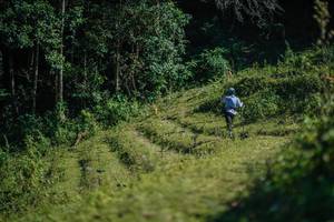 BIB: 
                            <button type="button" onclick="openModal(26678400)" class="btn btn-primary btn-sm float-right btn-popup" data-toggle="modal" data-target=".modal-high-quality">
                        <i class="fas fa-shopping-cart"></i> Add to Cart
                    </button>
                                            <button type="button" onclick="isThisMe(26678400, true)" class="btn btn-success btn-sm float-right btn-popup btn-isme hidden" data-toggle="tooltip" data-placement="bottom" title="นี่คือรูปของคุณใช่ไหม คลิกที่นี่เพื่อเอาเข้าอัลบั้ม">
                        <i class="fas fa-plus"></i> Add to album
                    </button>
                    <button type="button" onclick="isThisMe(26678400, false)" class="btn btn-warning btn-sm float-right btn-popup btn-isnotme hidden">
                        <i class="fas fa-ban"></i> Remove from album
                    </button>