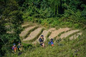 BIB: 
                            <button type="button" onclick="openModal(26678309)" class="btn btn-primary btn-sm float-right btn-popup" data-toggle="modal" data-target=".modal-high-quality">
                        <i class="fas fa-shopping-cart"></i> Add to Cart
                    </button>
                                            <button type="button" onclick="isThisMe(26678309, true)" class="btn btn-success btn-sm float-right btn-popup btn-isme hidden" data-toggle="tooltip" data-placement="bottom" title="นี่คือรูปของคุณใช่ไหม คลิกที่นี่เพื่อเอาเข้าอัลบั้ม">
                        <i class="fas fa-plus"></i> Add to album
                    </button>
                    <button type="button" onclick="isThisMe(26678309, false)" class="btn btn-warning btn-sm float-right btn-popup btn-isnotme hidden">
                        <i class="fas fa-ban"></i> Remove from album
                    </button>