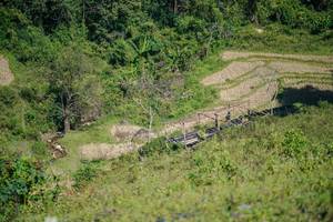 BIB: 
                            <button type="button" onclick="openModal(26676659)" class="btn btn-primary btn-sm float-right btn-popup" data-toggle="modal" data-target=".modal-high-quality">
                        <i class="fas fa-shopping-cart"></i> Add to Cart
                    </button>
                                            <button type="button" onclick="isThisMe(26676659, true)" class="btn btn-success btn-sm float-right btn-popup btn-isme hidden" data-toggle="tooltip" data-placement="bottom" title="นี่คือรูปของคุณใช่ไหม คลิกที่นี่เพื่อเอาเข้าอัลบั้ม">
                        <i class="fas fa-plus"></i> Add to album
                    </button>
                    <button type="button" onclick="isThisMe(26676659, false)" class="btn btn-warning btn-sm float-right btn-popup btn-isnotme hidden">
                        <i class="fas fa-ban"></i> Remove from album
                    </button>