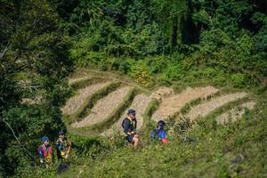 BIB: 
                            <button type="button" onclick="openModal(26678302)" class="btn btn-primary btn-sm float-right btn-popup" data-toggle="modal" data-target=".modal-high-quality">
                        <i class="fas fa-shopping-cart"></i> Add to Cart
                    </button>
                                            <button type="button" onclick="isThisMe(26678302, true)" class="btn btn-success btn-sm float-right btn-popup btn-isme hidden" data-toggle="tooltip" data-placement="bottom" title="นี่คือรูปของคุณใช่ไหม คลิกที่นี่เพื่อเอาเข้าอัลบั้ม">
                        <i class="fas fa-plus"></i> Add to album
                    </button>
                    <button type="button" onclick="isThisMe(26678302, false)" class="btn btn-warning btn-sm float-right btn-popup btn-isnotme hidden">
                        <i class="fas fa-ban"></i> Remove from album
                    </button>