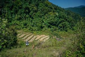 BIB: 
                            <button type="button" onclick="openModal(26675422)" class="btn btn-primary btn-sm float-right btn-popup" data-toggle="modal" data-target=".modal-high-quality">
                        <i class="fas fa-shopping-cart"></i> Add to Cart
                    </button>
                                            <button type="button" onclick="isThisMe(26675422, true)" class="btn btn-success btn-sm float-right btn-popup btn-isme hidden" data-toggle="tooltip" data-placement="bottom" title="นี่คือรูปของคุณใช่ไหม คลิกที่นี่เพื่อเอาเข้าอัลบั้ม">
                        <i class="fas fa-plus"></i> Add to album
                    </button>
                    <button type="button" onclick="isThisMe(26675422, false)" class="btn btn-warning btn-sm float-right btn-popup btn-isnotme hidden">
                        <i class="fas fa-ban"></i> Remove from album
                    </button>