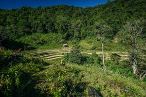 BIB: 
                            <button type="button" onclick="openModal(26576045)" class="btn btn-primary btn-sm float-right btn-popup" data-toggle="modal" data-target=".modal-high-quality">
                        <i class="fas fa-shopping-cart"></i> Add to Cart
                    </button>
                                            <button type="button" onclick="isThisMe(26576045, true)" class="btn btn-success btn-sm float-right btn-popup btn-isme hidden" data-toggle="tooltip" data-placement="bottom" title="นี่คือรูปของคุณใช่ไหม คลิกที่นี่เพื่อเอาเข้าอัลบั้ม">
                        <i class="fas fa-plus"></i> Add to album
                    </button>
                    <button type="button" onclick="isThisMe(26576045, false)" class="btn btn-warning btn-sm float-right btn-popup btn-isnotme hidden">
                        <i class="fas fa-ban"></i> Remove from album
                    </button>