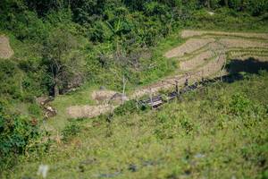 BIB: 
                            <button type="button" onclick="openModal(26676784)" class="btn btn-primary btn-sm float-right btn-popup" data-toggle="modal" data-target=".modal-high-quality">
                        <i class="fas fa-shopping-cart"></i> Add to Cart
                    </button>
                                            <button type="button" onclick="isThisMe(26676784, true)" class="btn btn-success btn-sm float-right btn-popup btn-isme hidden" data-toggle="tooltip" data-placement="bottom" title="นี่คือรูปของคุณใช่ไหม คลิกที่นี่เพื่อเอาเข้าอัลบั้ม">
                        <i class="fas fa-plus"></i> Add to album
                    </button>
                    <button type="button" onclick="isThisMe(26676784, false)" class="btn btn-warning btn-sm float-right btn-popup btn-isnotme hidden">
                        <i class="fas fa-ban"></i> Remove from album
                    </button>