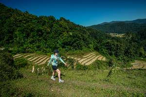 BIB: 
                            <button type="button" onclick="openModal(26682197)" class="btn btn-primary btn-sm float-right btn-popup" data-toggle="modal" data-target=".modal-high-quality">
                        <i class="fas fa-shopping-cart"></i> Add to Cart
                    </button>
                                            <button type="button" onclick="isThisMe(26682197, true)" class="btn btn-success btn-sm float-right btn-popup btn-isme hidden" data-toggle="tooltip" data-placement="bottom" title="นี่คือรูปของคุณใช่ไหม คลิกที่นี่เพื่อเอาเข้าอัลบั้ม">
                        <i class="fas fa-plus"></i> Add to album
                    </button>
                    <button type="button" onclick="isThisMe(26682197, false)" class="btn btn-warning btn-sm float-right btn-popup btn-isnotme hidden">
                        <i class="fas fa-ban"></i> Remove from album
                    </button>