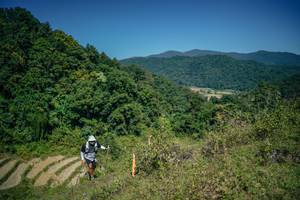 BIB: 
                            <button type="button" onclick="openModal(26675868)" class="btn btn-primary btn-sm float-right btn-popup" data-toggle="modal" data-target=".modal-high-quality">
                        <i class="fas fa-shopping-cart"></i> Add to Cart
                    </button>
                                            <button type="button" onclick="isThisMe(26675868, true)" class="btn btn-success btn-sm float-right btn-popup btn-isme hidden" data-toggle="tooltip" data-placement="bottom" title="นี่คือรูปของคุณใช่ไหม คลิกที่นี่เพื่อเอาเข้าอัลบั้ม">
                        <i class="fas fa-plus"></i> Add to album
                    </button>
                    <button type="button" onclick="isThisMe(26675868, false)" class="btn btn-warning btn-sm float-right btn-popup btn-isnotme hidden">
                        <i class="fas fa-ban"></i> Remove from album
                    </button>