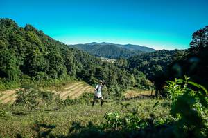 BIB: 
                            <button type="button" onclick="openModal(26571435)" class="btn btn-primary btn-sm float-right btn-popup" data-toggle="modal" data-target=".modal-high-quality">
                        <i class="fas fa-shopping-cart"></i> Add to Cart
                    </button>
                                            <button type="button" onclick="isThisMe(26571435, true)" class="btn btn-success btn-sm float-right btn-popup btn-isme hidden" data-toggle="tooltip" data-placement="bottom" title="นี่คือรูปของคุณใช่ไหม คลิกที่นี่เพื่อเอาเข้าอัลบั้ม">
                        <i class="fas fa-plus"></i> Add to album
                    </button>
                    <button type="button" onclick="isThisMe(26571435, false)" class="btn btn-warning btn-sm float-right btn-popup btn-isnotme hidden">
                        <i class="fas fa-ban"></i> Remove from album
                    </button>