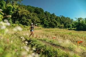 BIB: 
                            <button type="button" onclick="openModal(26708342)" class="btn btn-primary btn-sm float-right btn-popup" data-toggle="modal" data-target=".modal-high-quality">
                        <i class="fas fa-shopping-cart"></i> Add to Cart
                    </button>
                                            <button type="button" onclick="isThisMe(26708342, true)" class="btn btn-success btn-sm float-right btn-popup btn-isme hidden" data-toggle="tooltip" data-placement="bottom" title="นี่คือรูปของคุณใช่ไหม คลิกที่นี่เพื่อเอาเข้าอัลบั้ม">
                        <i class="fas fa-plus"></i> Add to album
                    </button>
                    <button type="button" onclick="isThisMe(26708342, false)" class="btn btn-warning btn-sm float-right btn-popup btn-isnotme hidden">
                        <i class="fas fa-ban"></i> Remove from album
                    </button>