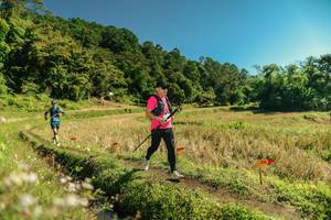 BIB: 
                            <button type="button" onclick="openModal(26702236)" class="btn btn-primary btn-sm float-right btn-popup" data-toggle="modal" data-target=".modal-high-quality">
                        <i class="fas fa-shopping-cart"></i> Add to Cart
                    </button>
                                            <button type="button" onclick="isThisMe(26702236, true)" class="btn btn-success btn-sm float-right btn-popup btn-isme hidden" data-toggle="tooltip" data-placement="bottom" title="นี่คือรูปของคุณใช่ไหม คลิกที่นี่เพื่อเอาเข้าอัลบั้ม">
                        <i class="fas fa-plus"></i> Add to album
                    </button>
                    <button type="button" onclick="isThisMe(26702236, false)" class="btn btn-warning btn-sm float-right btn-popup btn-isnotme hidden">
                        <i class="fas fa-ban"></i> Remove from album
                    </button>