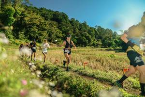 BIB: 
                            <button type="button" onclick="openModal(26638982)" class="btn btn-primary btn-sm float-right btn-popup" data-toggle="modal" data-target=".modal-high-quality">
                        <i class="fas fa-shopping-cart"></i> Add to Cart
                    </button>
                                            <button type="button" onclick="isThisMe(26638982, true)" class="btn btn-success btn-sm float-right btn-popup btn-isme hidden" data-toggle="tooltip" data-placement="bottom" title="นี่คือรูปของคุณใช่ไหม คลิกที่นี่เพื่อเอาเข้าอัลบั้ม">
                        <i class="fas fa-plus"></i> Add to album
                    </button>
                    <button type="button" onclick="isThisMe(26638982, false)" class="btn btn-warning btn-sm float-right btn-popup btn-isnotme hidden">
                        <i class="fas fa-ban"></i> Remove from album
                    </button>